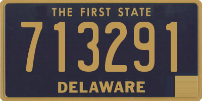 DE license plate 713291