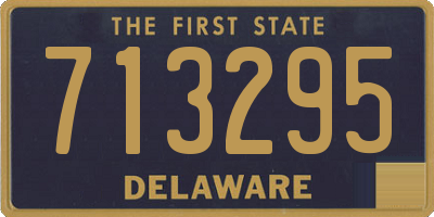 DE license plate 713295