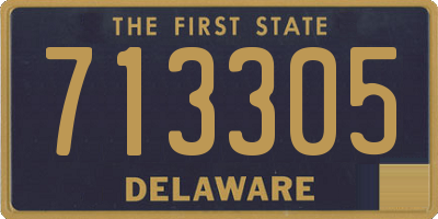 DE license plate 713305
