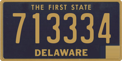DE license plate 713334