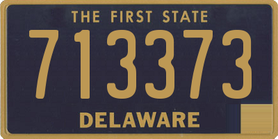 DE license plate 713373