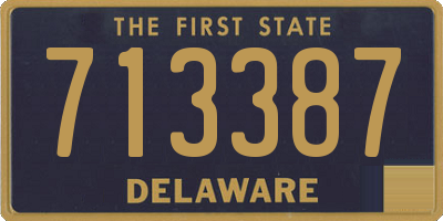 DE license plate 713387