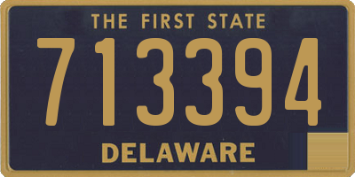 DE license plate 713394
