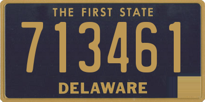 DE license plate 713461