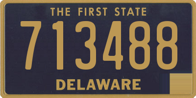 DE license plate 713488