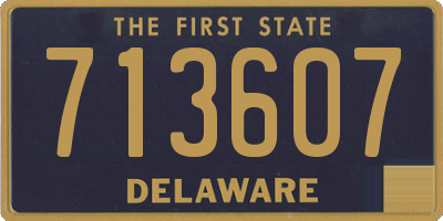 DE license plate 713607