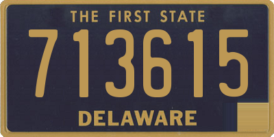 DE license plate 713615