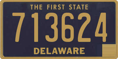 DE license plate 713624