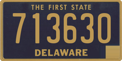 DE license plate 713630