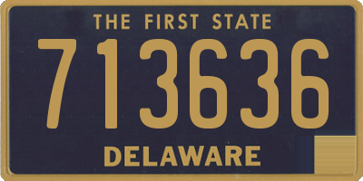DE license plate 713636