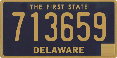 DE license plate 713659