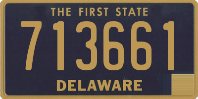 DE license plate 713661