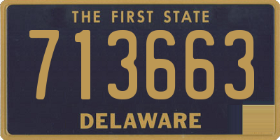 DE license plate 713663