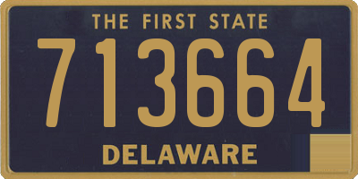 DE license plate 713664