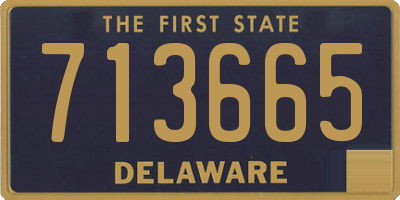DE license plate 713665