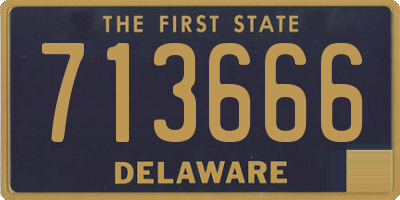 DE license plate 713666
