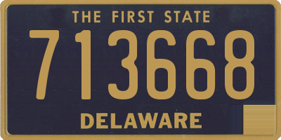 DE license plate 713668