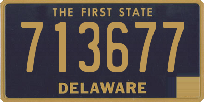 DE license plate 713677