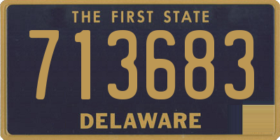 DE license plate 713683