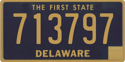 DE license plate 713797
