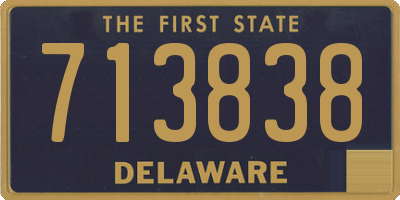 DE license plate 713838