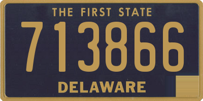 DE license plate 713866