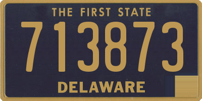 DE license plate 713873