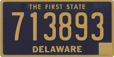 DE license plate 713893