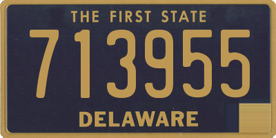 DE license plate 713955