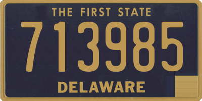 DE license plate 713985