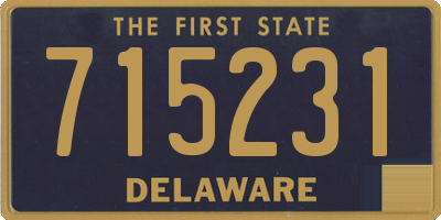 DE license plate 715231