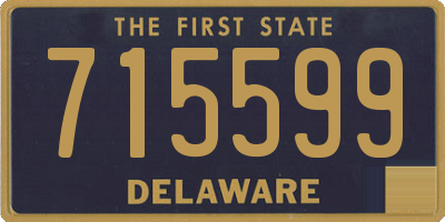 DE license plate 715599