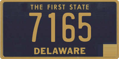 DE license plate 7165