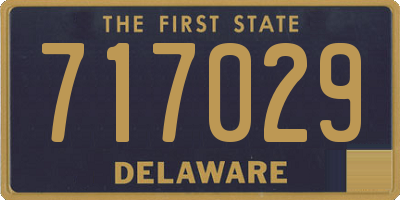 DE license plate 717029