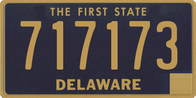 DE license plate 717173