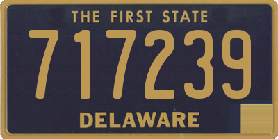 DE license plate 717239