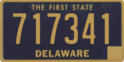 DE license plate 717341