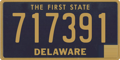 DE license plate 717391