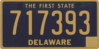 DE license plate 717393