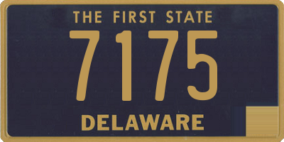 DE license plate 7175