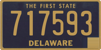 DE license plate 717593