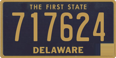 DE license plate 717624