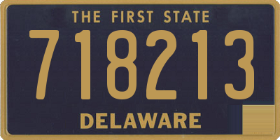 DE license plate 718213