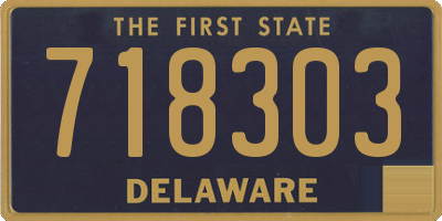 DE license plate 718303