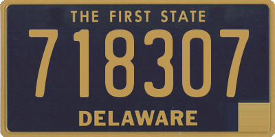 DE license plate 718307