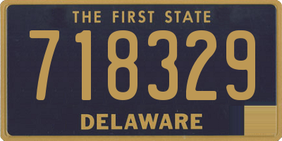DE license plate 718329