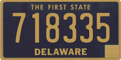 DE license plate 718335