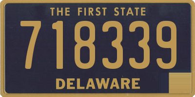 DE license plate 718339
