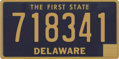 DE license plate 718341