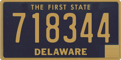 DE license plate 718344